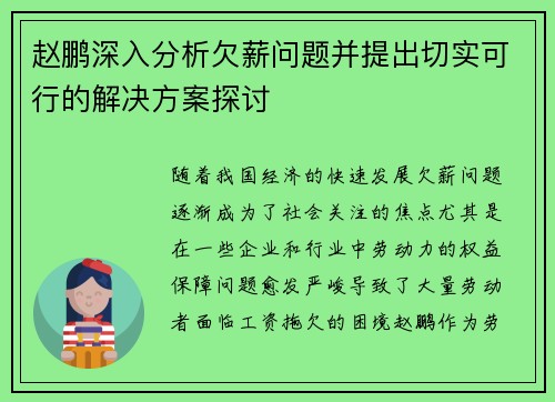 赵鹏深入分析欠薪问题并提出切实可行的解决方案探讨